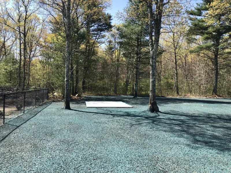 Hydroseeded lawn area among tall trees